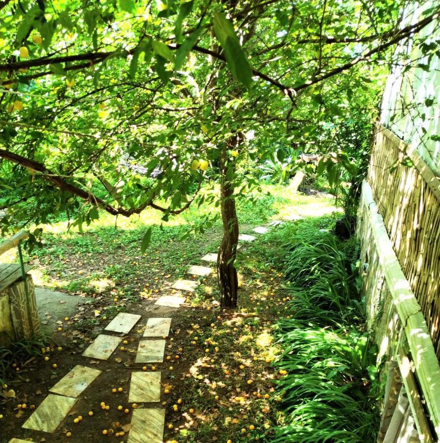 Hostel Eco חאקבי מראה חיצוני תמונה